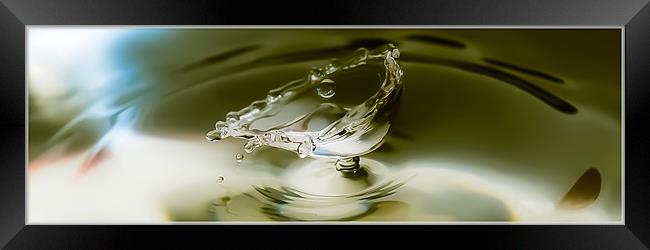 Fluid Art droplet splash Framed Print by Terry Pearce