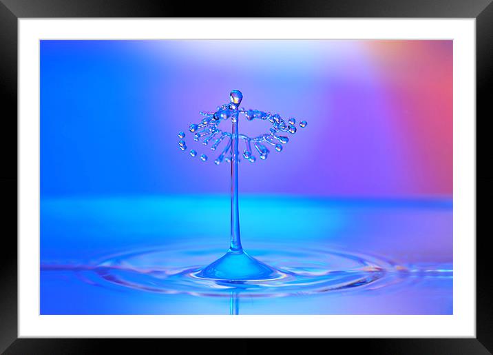 fluid Art droplet splash Framed Mounted Print by Terry Pearce