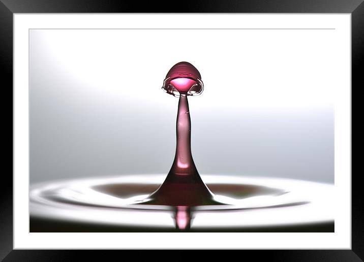 Fluid Art droplet splash Framed Mounted Print by Terry Pearce