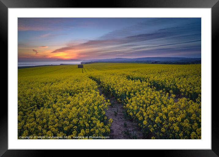 The Rapeseed Fields Of Chale Isle Of Wight Framed Mounted Print by Wight Landscapes