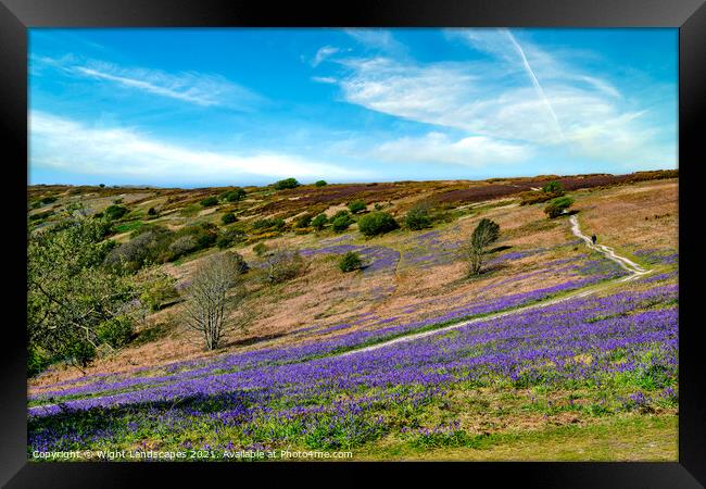 Bluebell Path Isle Of Wight Framed Print by Wight Landscapes