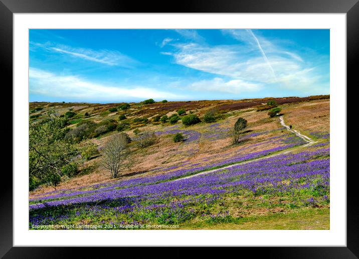 Bluebell Path Isle Of Wight Framed Mounted Print by Wight Landscapes