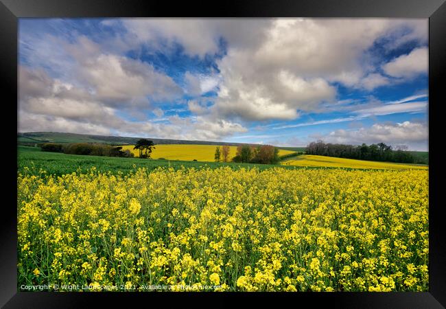 Yellow Rape Seed Field Framed Print by Wight Landscapes