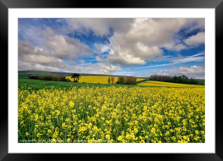 Yellow Rape Seed Field Framed Mounted Print by Wight Landscapes