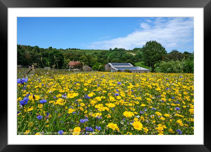 Wildflower Meadow Framed Mounted Print by Wight Landscapes