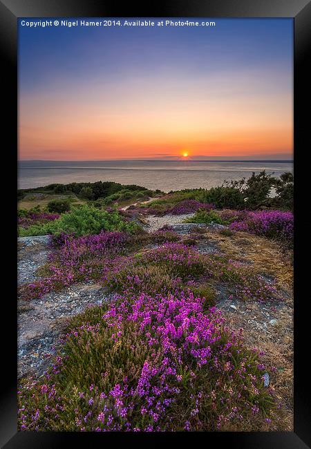 Purple Heather Sunset Framed Print by Wight Landscapes