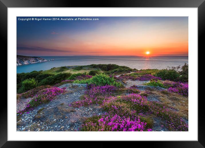 Headon Warren Sunset Framed Mounted Print by Wight Landscapes