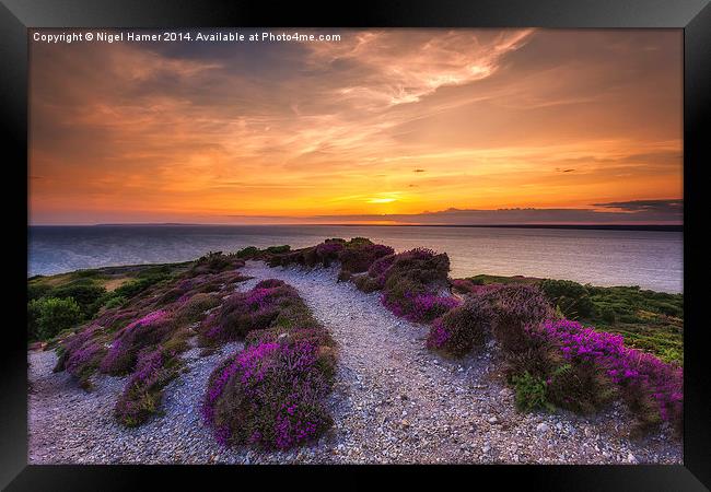  Sunset Path Framed Print by Wight Landscapes