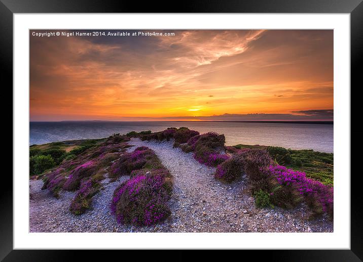  Sunset Path Framed Mounted Print by Wight Landscapes