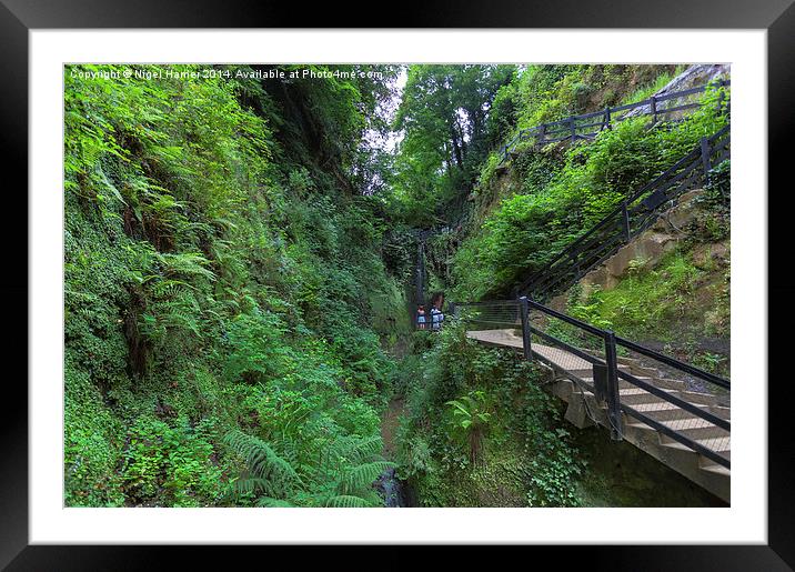 Shanklin Chine Framed Mounted Print by Wight Landscapes