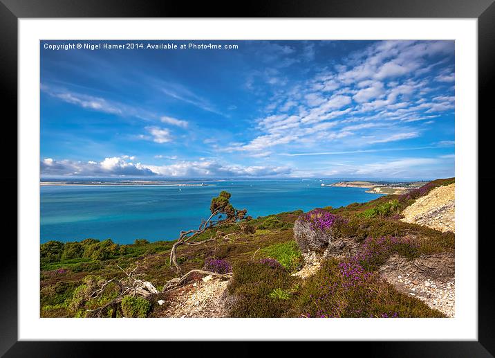 Headon Warren and Hurst Narrows Framed Mounted Print by Wight Landscapes