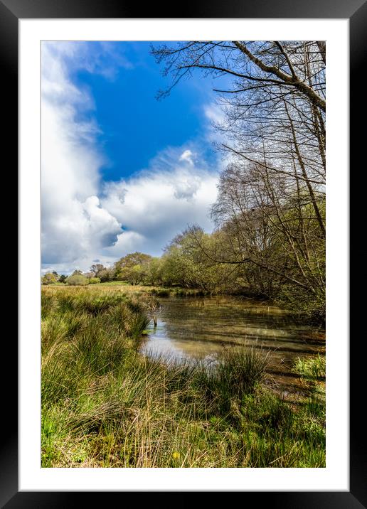 Isle Of Wight Water Meadow Framed Mounted Print by Wight Landscapes