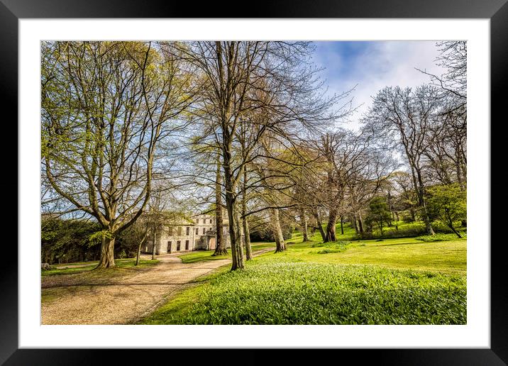 Spring At Appuldurcombe Isle Of Wight Framed Mounted Print by Wight Landscapes
