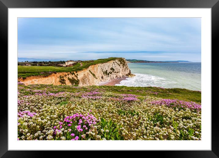 Watcombe Bay Thrift Framed Mounted Print by Wight Landscapes
