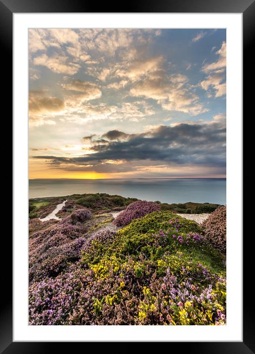 Headon Hill Sunset Framed Mounted Print by Wight Landscapes