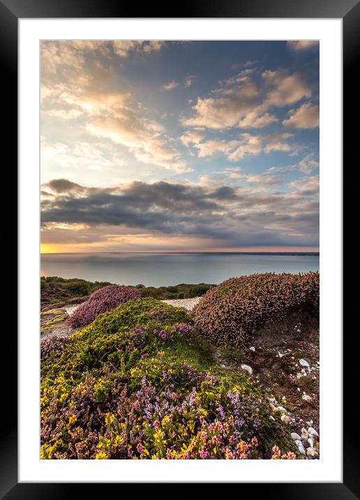 Sunset On Headon Hill Framed Mounted Print by Wight Landscapes