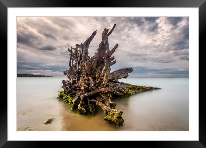 leviathan Of The Deep Framed Mounted Print by Wight Landscapes