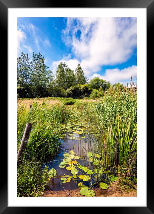 Brading Marsh Summer Water Meadow Framed Mounted Print by Wight Landscapes