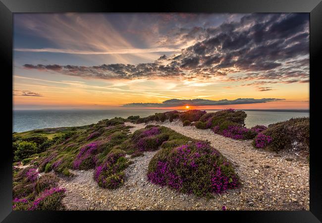 Headon Hill Sunset Framed Print by Wight Landscapes