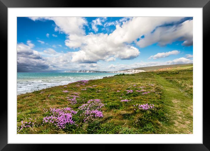 Compton Bay Sea Thrift Framed Mounted Print by Wight Landscapes