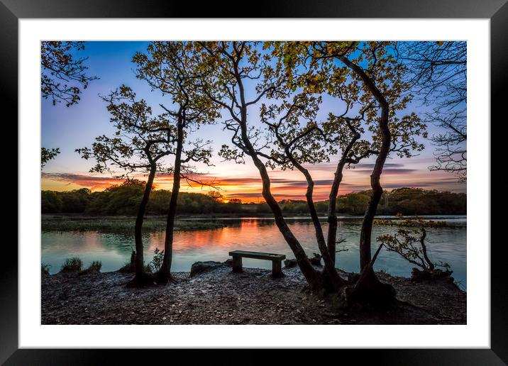 Firestone Copse Sunset Framed Mounted Print by Wight Landscapes