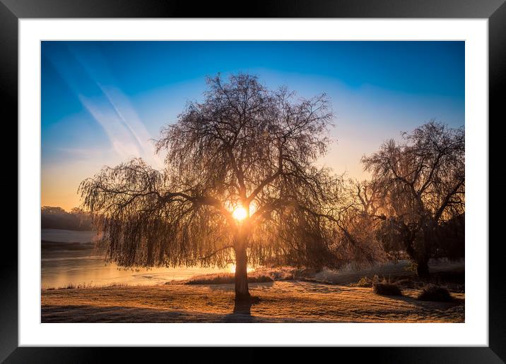 Sunrise At The Willow Tree Framed Mounted Print by Wight Landscapes