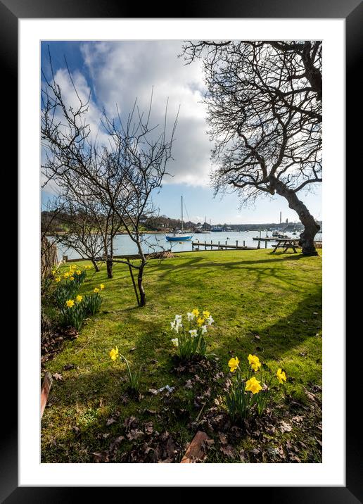 Spring At The Creek Framed Mounted Print by Wight Landscapes