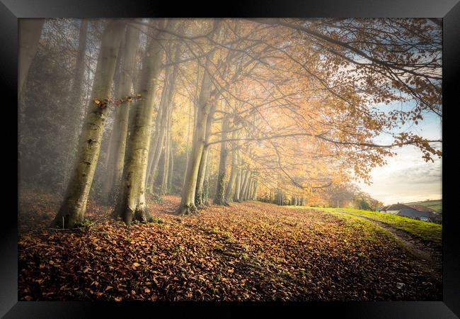 Autumn Mists Framed Print by Wight Landscapes