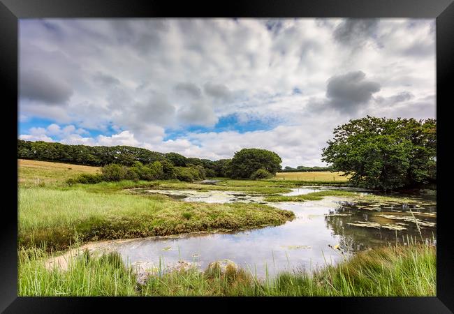 Causeway Lake Newtown Isle Of Wight Framed Print by Wight Landscapes