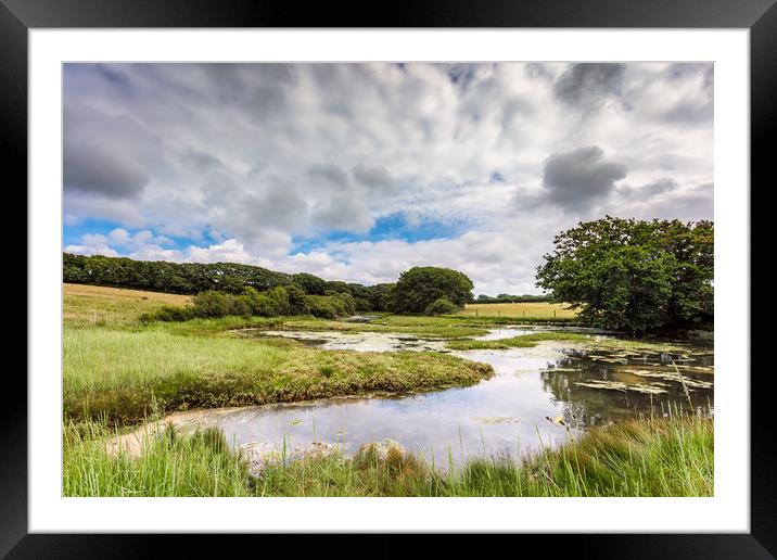 Causeway Lake Newtown Isle Of Wight Framed Mounted Print by Wight Landscapes