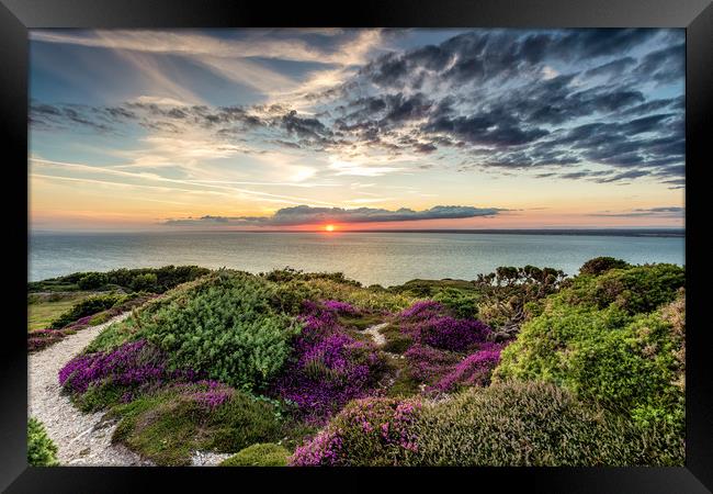 Headon Hill Sunset #4 Framed Print by Wight Landscapes