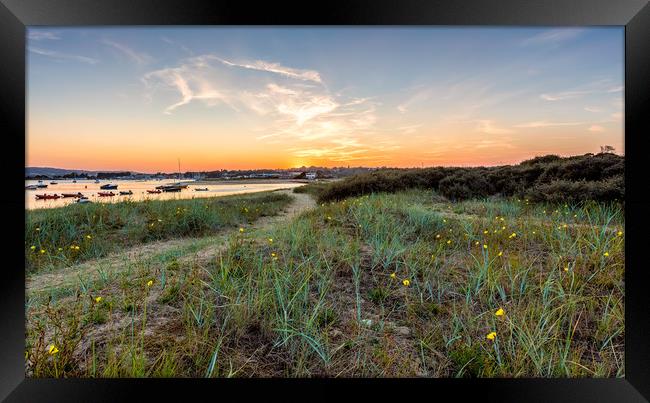 Evening Primrose Bembridge Isle Of Wight Framed Print by Wight Landscapes