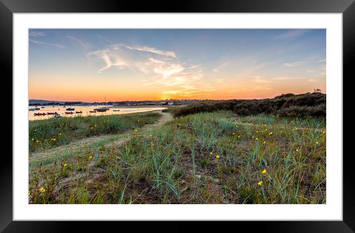 Evening Primrose Bembridge Isle Of Wight Framed Mounted Print by Wight Landscapes