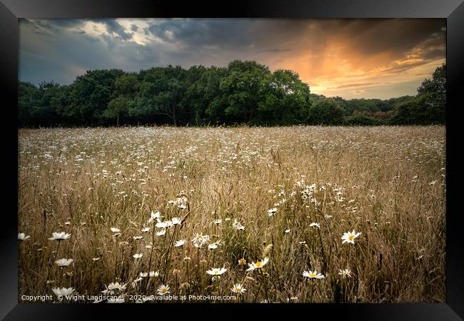 Wild Flower Meadow Framed Print by Wight Landscapes