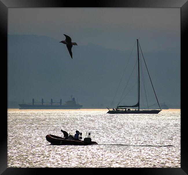 Big Medium and Small In The Bay Framed Print by Wight Landscapes