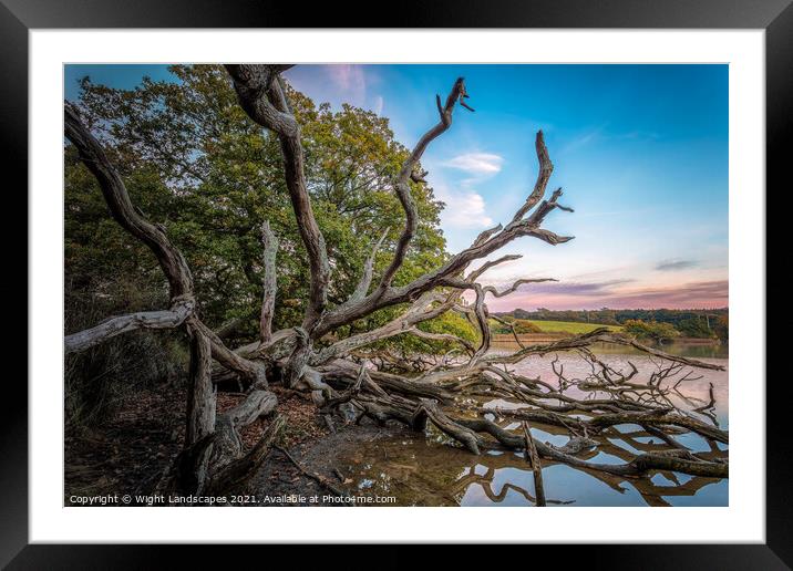 Fallen Giant Framed Mounted Print by Wight Landscapes