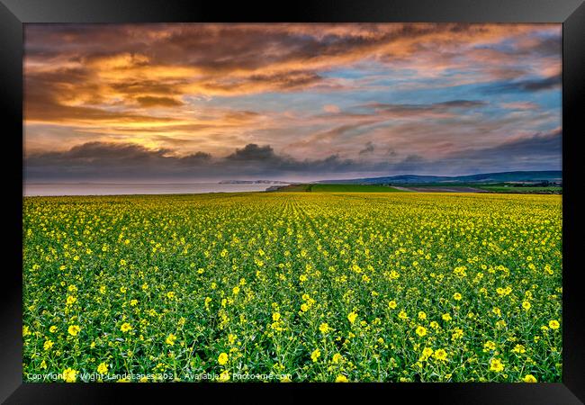 Chale Rapeseed Sunset Isle Of Wight Framed Print by Wight Landscapes