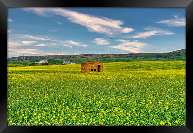 Rapeseed Field Lookout Post  Framed Print by Wight Landscapes