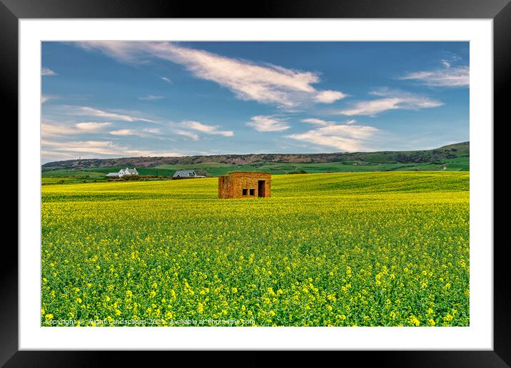 Rapeseed Field Lookout Post  Framed Mounted Print by Wight Landscapes