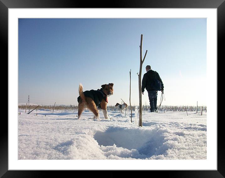 winter Framed Mounted Print by jonny england