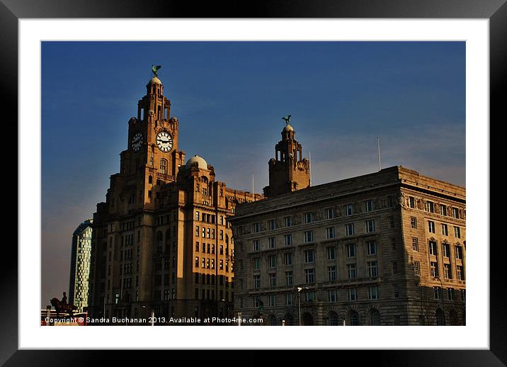 The Liver Birds Framed Mounted Print by Sandra Buchanan