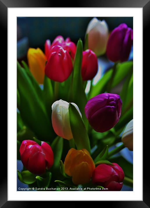 Springtime Bouquet Framed Mounted Print by Sandra Buchanan