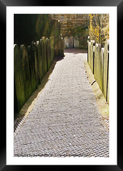 Pathway To The Past Framed Mounted Print by Sandra Buchanan