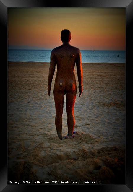 Iron Man At Sunset 2 Framed Print by Sandra Buchanan