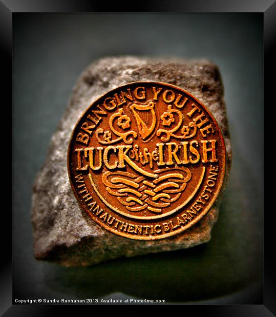 The Luck Of The Irish Framed Print by Sandra Buchanan