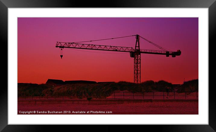 Crane At Sunset Framed Mounted Print by Sandra Buchanan
