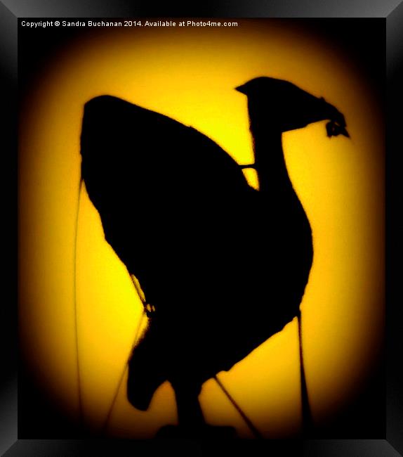 Liver Bird Liverpool Framed Print by Sandra Buchanan