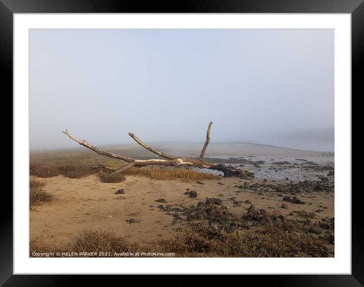 Large driftwood on the shore of River Neathsand Framed Mounted Print by HELEN PARKER