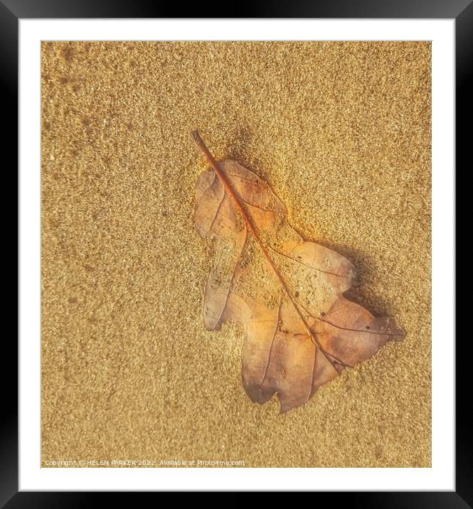 Just a leaf Framed Mounted Print by HELEN PARKER