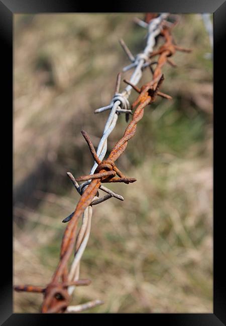 STRING OF BARBED WIRE Framed Print by HELEN PARKER